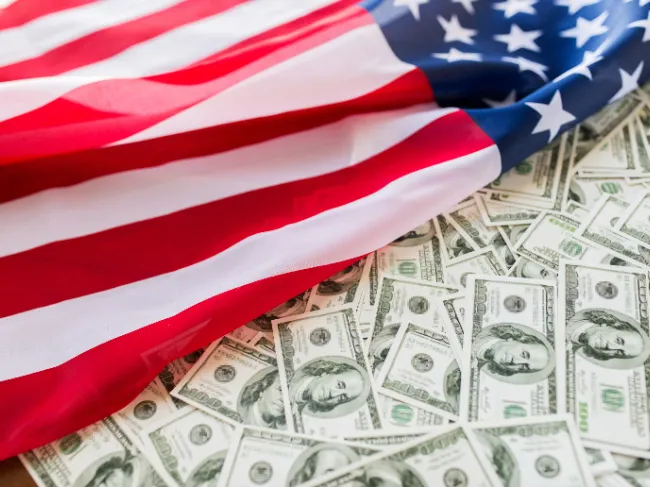 american flag with dollar bills